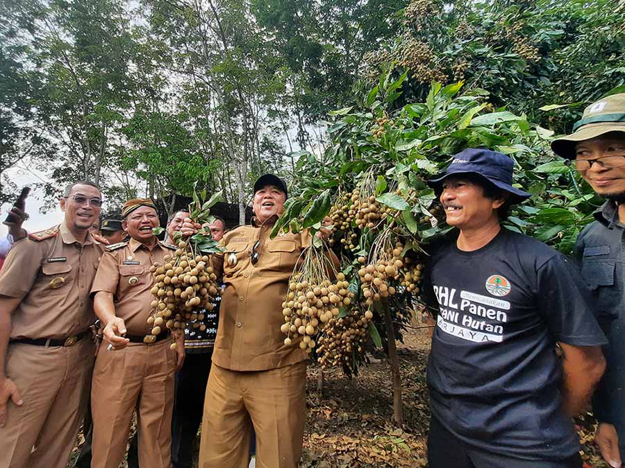 Gubernur Lampung Arinal Djunaidi Mendorong Pengembangan Sentra Kelengkeng Itoh di Lampung Timur - Yopie Pangkey