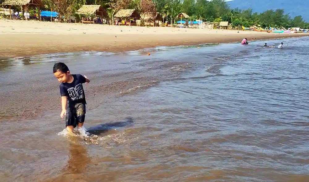 Foto Gambar Pantai Tanjung Palapa di Kotaagung Barat Tanggamus - Chimaerif Formes