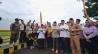 Arinal Djunaidi Jembatan Way STKIP PGRI Metro (1)