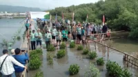 Pemprov Gubernur Lampung Arinal Djunaidi Apresiasi Penanaman Mangrove Serentak KLHK di Pulau Pasaran Bandar Lampung April 2024 Pemprov Gubernur Lampung Arinal Djunaidi Apresiasi Penanaman Mangrove Serentak KLHK di Pulau Pasaran Bandar Lampung April 2024.webp