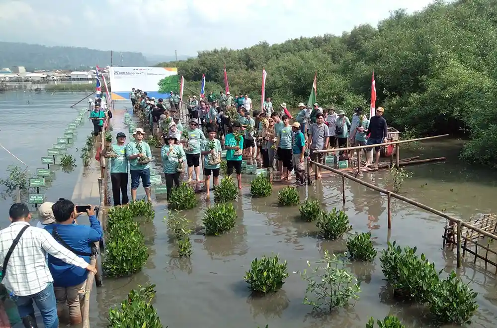 Pemprov Gubernur Lampung Arinal Djunaidi Apresiasi Penanaman Mangrove Serentak KLHK di Pulau Pasaran Bandar Lampung April 2024.webp