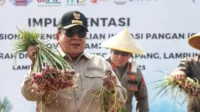Arinal Djunaidi Sukses di Sektor Pertanian - Pengamat Perlu Keberlanjutan Pembangunan Gubernur Lampung 2024-2029