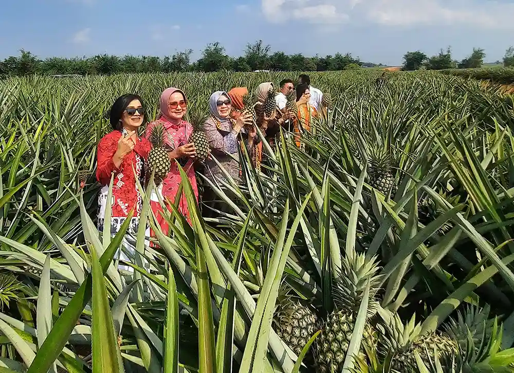 Ketua Umum Cahaya Ladara Nusantara CLN Nannie Hadi Tjahjanto Telusuri Potensi Benang Daun Nanas di GGPC Lampung - Yopie Pangkey 2