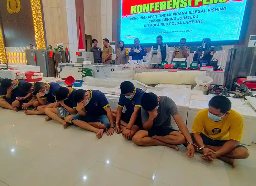 Ditpolairud Polda Lampung Gagalkan Penyelundupan 149400 Benih Lobster.webp