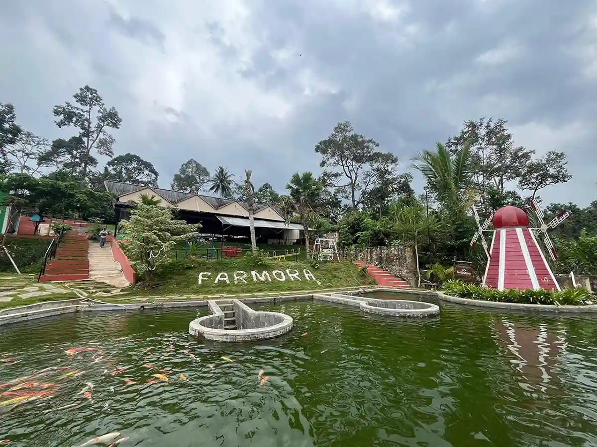 Foto Gambar Farmora Edutainment Farm Bandar Lampung