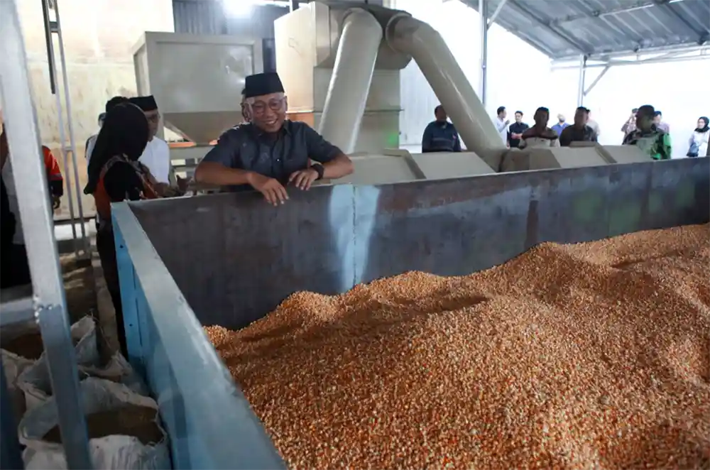 Catatan 100 Hari Mirza–Jihan - 24 Dryer dan 4 Mesin Mocaf untuk Hilirisasi Pertanian Lampung 2