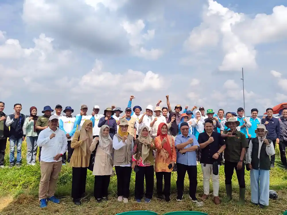 Dari Tanah Asam ke Panen Optimal Ikaperta Unila dan Mas Tani Edukasi Petani Lewat Demplot di Bangun Rejo Gunung Sugih