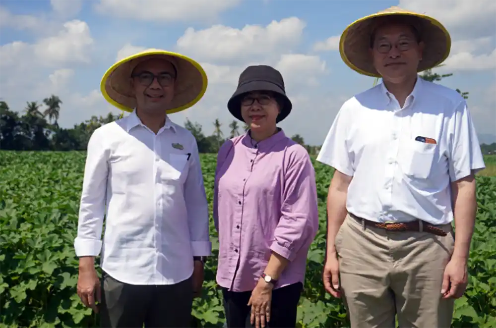 Mengerek Nilai Tambah Komoditas Unggulan Lampung di Tengah Badai Global Mahendra Utama