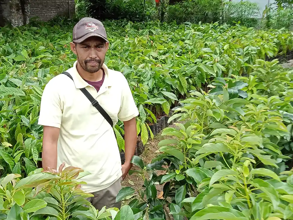 Muamar Leonardo, Lulusan Pascasarjana UGM yang Pilih Pulang Kampung jadi Petani Agroforestri - Yopie Pangkey - 1