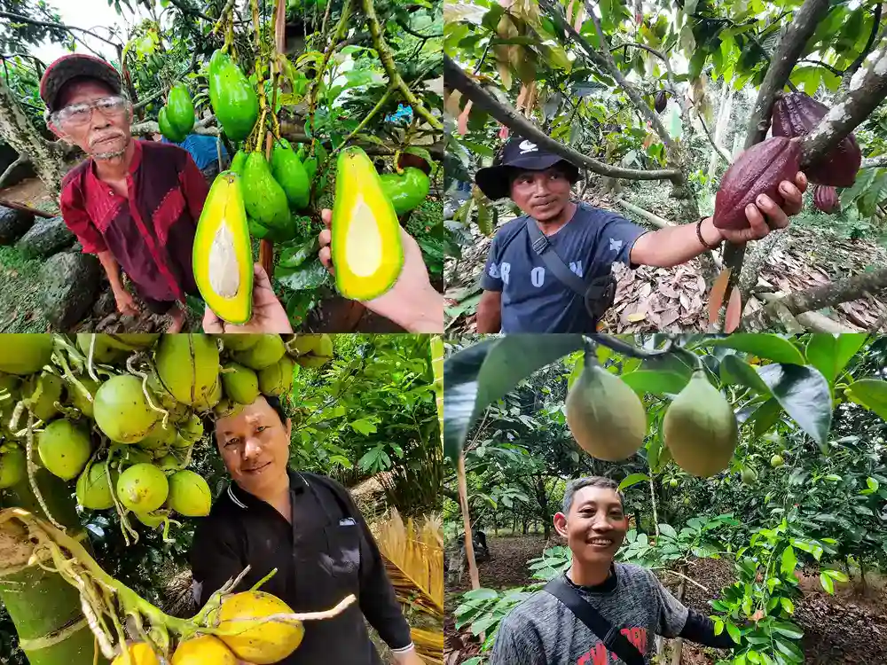Menjaga Asa Pasca RHL Saat Pohon dan Kelembagaan Harus Sama-sama Tumbuh - Awal Budiantoro - Yopie Pangkey@