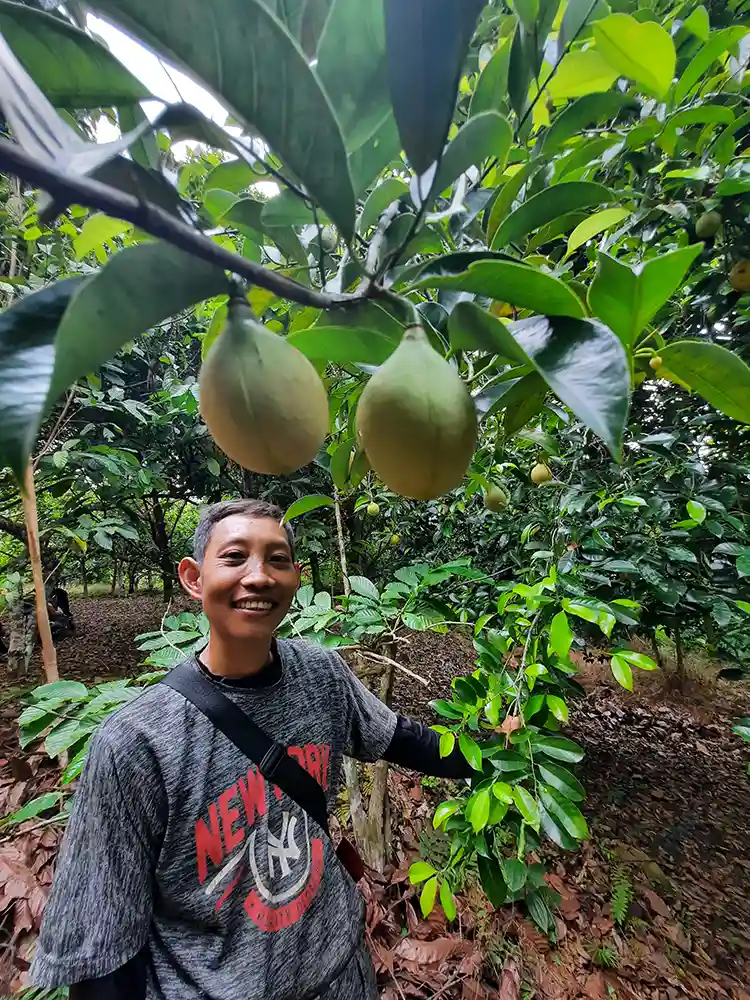 Menjaga Asa Pasca Rehabilitasi Hutan dan Lahan RHL - Saat Pohon dan Kelembagaan Harus Sama-sama Tumbuh - Yopie Pangkey
