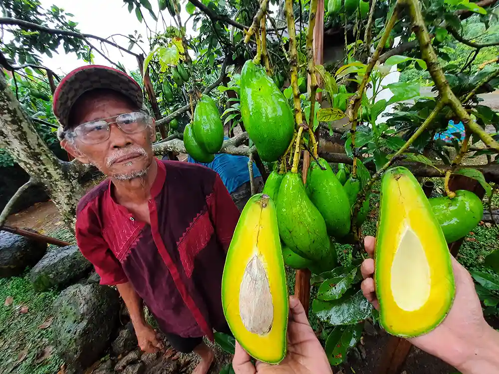 Menjaga Asa Pasca Rehabilitasi Hutan dan Lahan - Saat Pohon dan Kelembagaan Harus Sama-sama Tumbuh - Yopie Pangkey