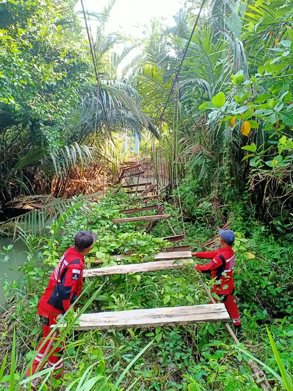 Gubernur Lampung Gerakkan Kolaborasi Perbaiki Cepat Jembatan Gantung Akses Anak Sekolah Tampang Muda Tanggamus 2