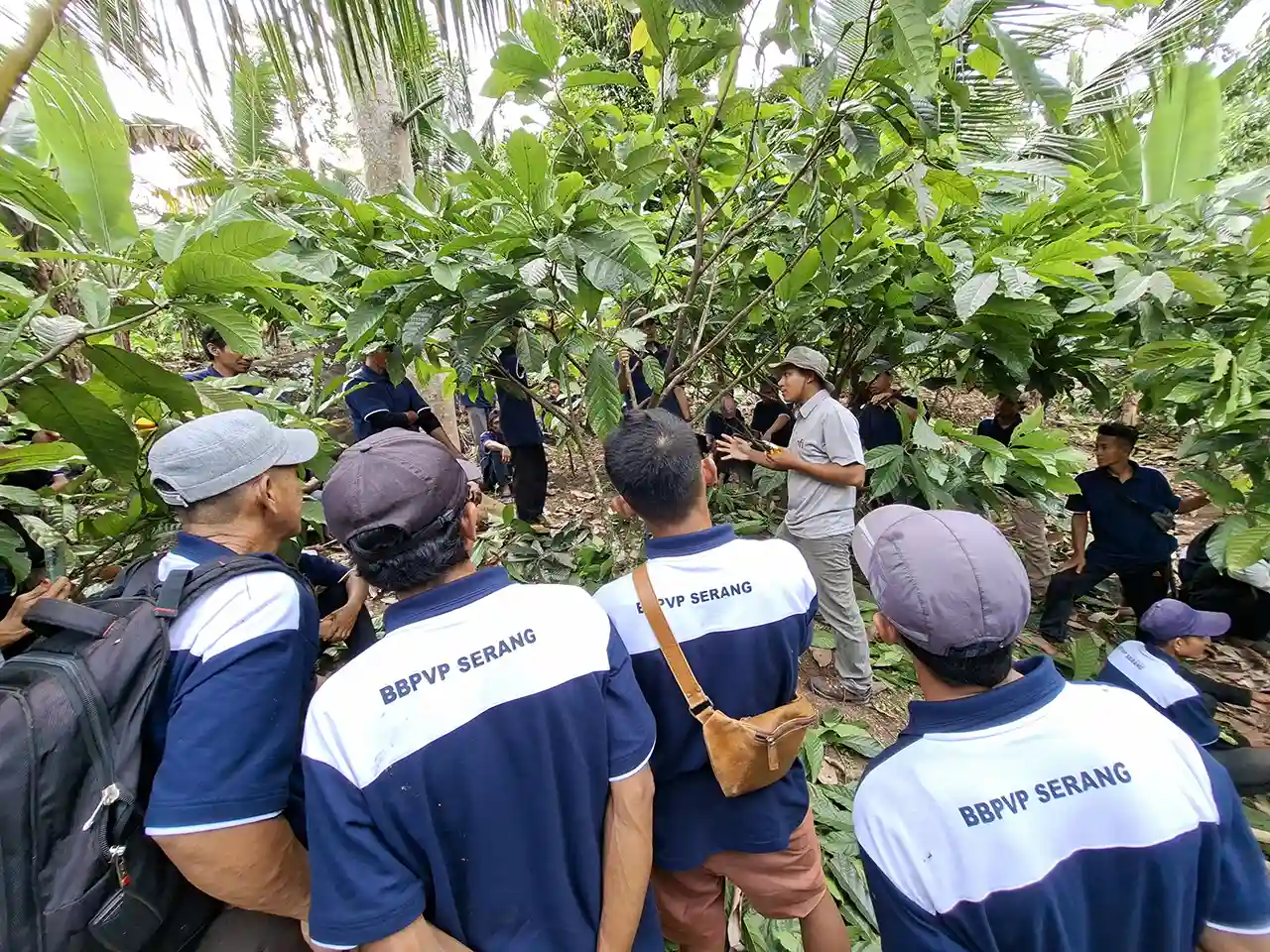 Kemenhut–Kemnaker Luncurkan Pelatihan Agroforestri Menyiapkan Green Jobs Menjaga Hutan Lestari - yopie pangkey 3 Kemenhut–Kemnaker Luncurkan Pelatihan Agroforestri Menyiapkan Green Jobs Menjaga Hutan Lestari - yopie pangkey 3