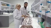 Re-Fermentasi Kakao Terobosan Polinela untuk Pasokan Ber-SNI ke Pasar Global - Analianasari