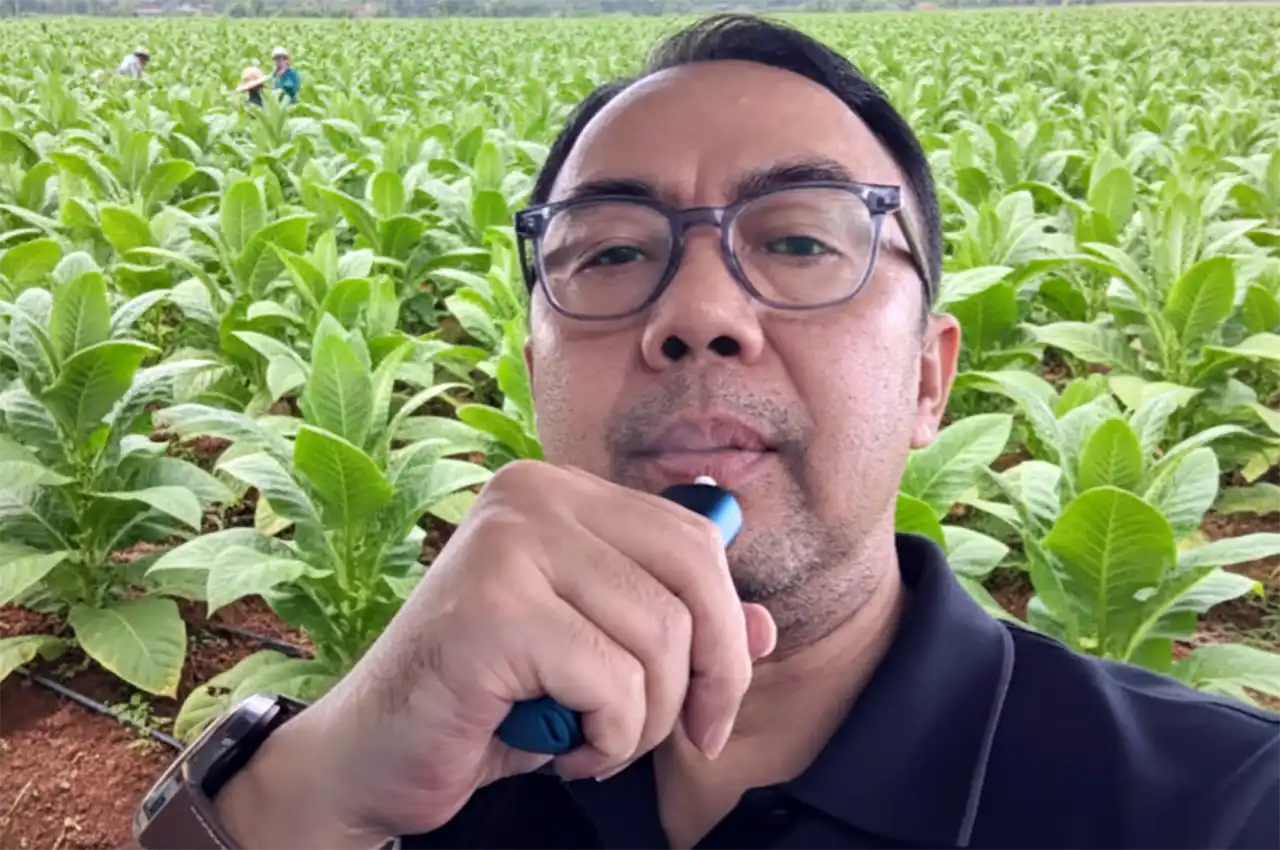 Ancaman Krisis Ekonomi di Jember jika Budidaya Edamame Menyusut - Mahendra Utama