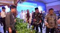 Bank Indonesia Hadirkan Paviliun Kopi di Lampung Fest 2025 untuk Perkuat Ekosistem Kopi Daerah Bank Indonesia Hadirkan Paviliun Kopi di Lampung Fest 2025 untuk Perkuat Ekosistem Kopi Daerah