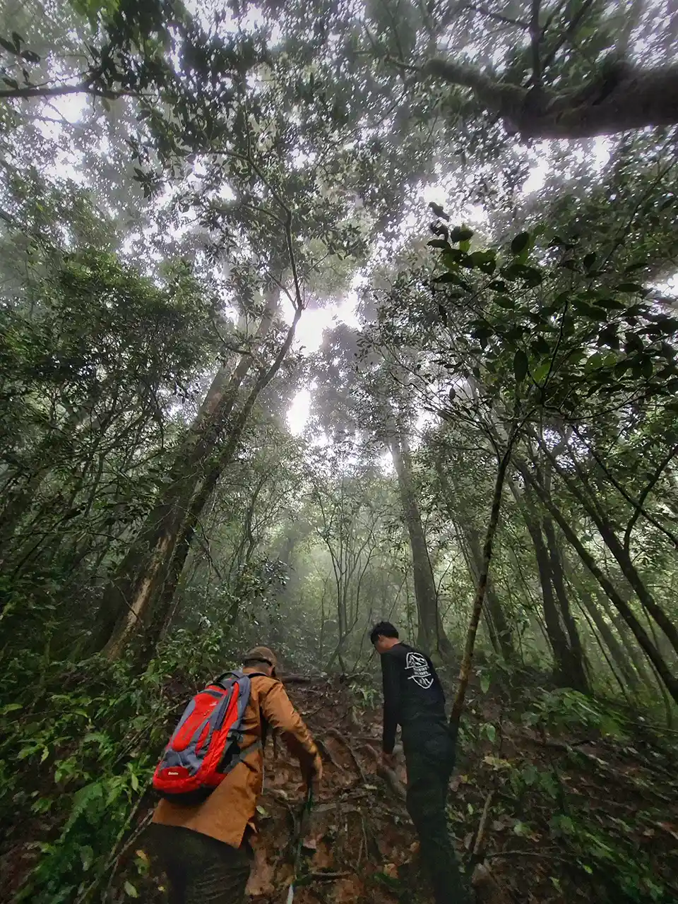 Foto Jalur Trekking Gunung Pesawaran via Bukit Seribu Sewu KPH TAhura WAR - Yopie Pangkey - 2