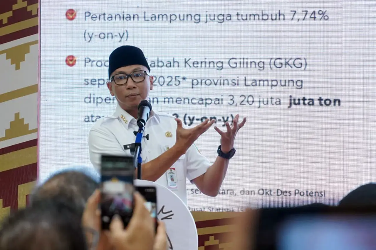 Ikhtiar Gubernur Mirza Memutus Rantai Capital Outflow di Lampung - Mahendra Utama