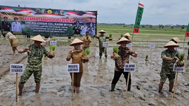 Kolaborasi Kodam XXI Radin Inten dan Pemda Dorong Produktivitas Padi Lampung Timur