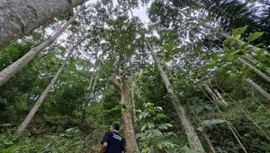 Potensi Ekonomi Hijau Lampung Menggali Emas Hitam Baru di Era Gubernur Mirza - @20250731_130029 Yopie Pangkey