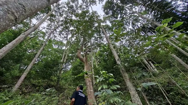 Potensi Ekonomi Hijau Lampung Menggali Emas Hitam Baru di Era Gubernur Mirza - @20250731_130029 Yopie Pangkey