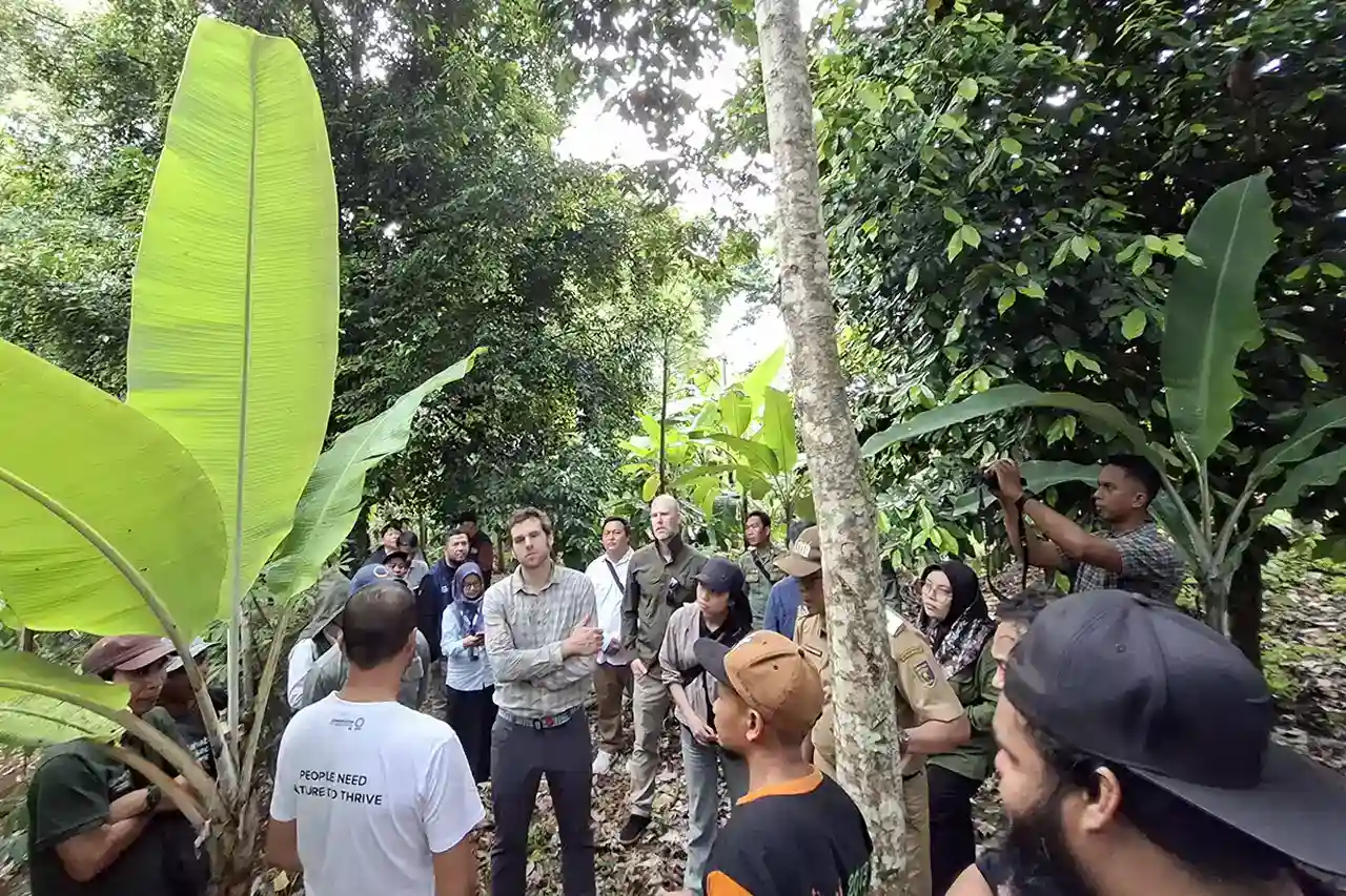 Hutan Lindung Pesawaran Jadi Pintu Masuk Investasi Karbon di Lampung - Yopie Pangkey