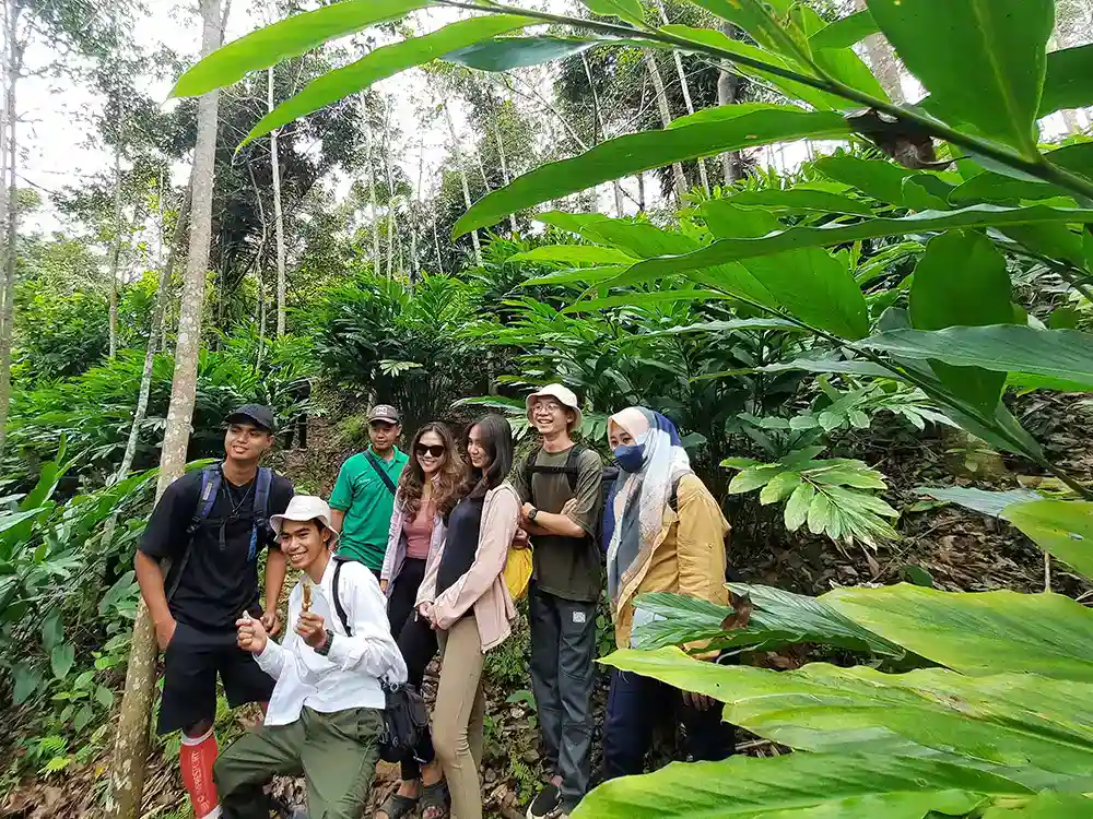 Hutan Lindung di Desa Banjaran Pesawaran Agroforestri untuk Pendidikan dan Ketahanan Pangan - Yopie Pangkey