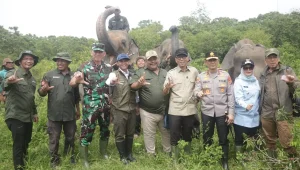 Antara Gajah Desa dan Pasar Karbon Uji Coba Besar di Way Kambas