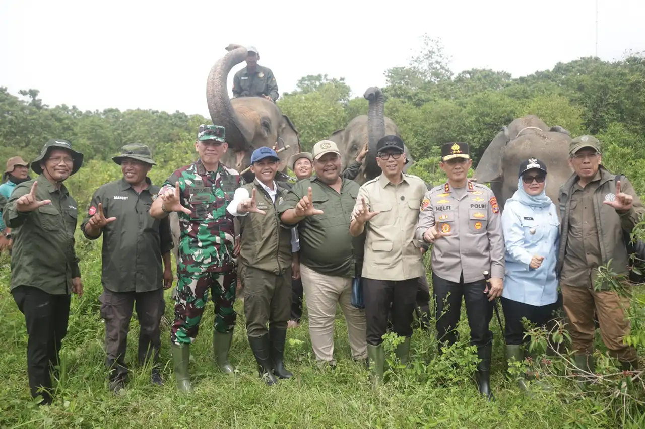 Antara Gajah Desa dan Pasar Karbon Uji Coba Besar di Way Kambas
