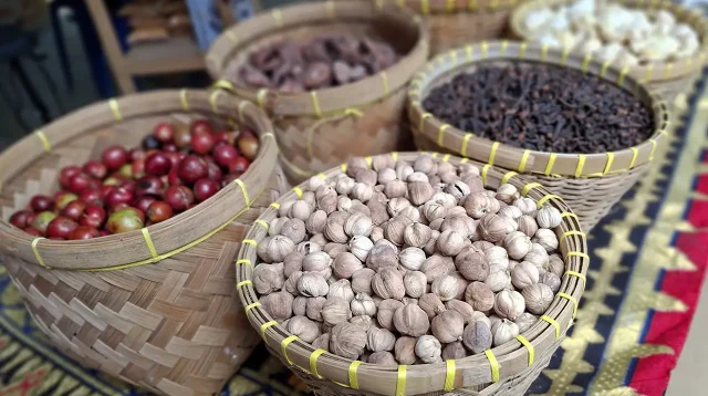 Foto Gambar Ketelusuran Produk Hutan Mengapa Nilai dari Hutan Tidak Pernah Terlihat di Pasar - Yopie Pangkey