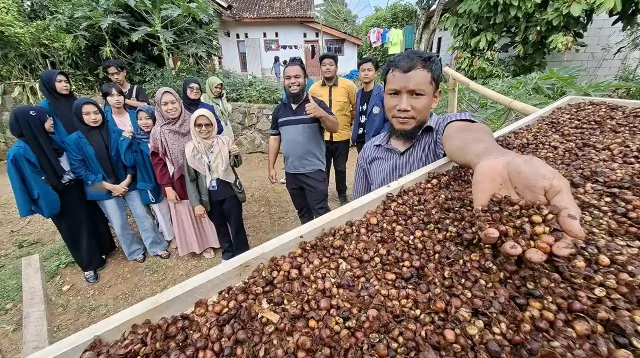 Foto Gambar Mengelola Hutan Membangun Ekonomi Jalan Sunyi Bioekonomi di Lampung - Yopie Pangkey