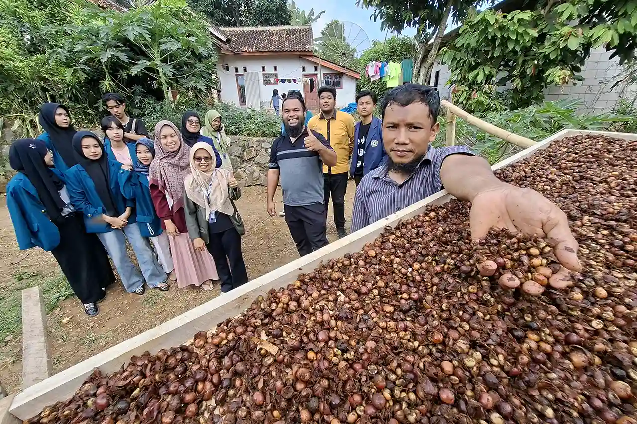 Foto Gambar Mengelola Hutan Membangun Ekonomi Jalan Sunyi Bioekonomi di Lampung - Yopie Pangkey