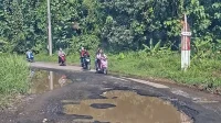 Pencarian Jalan Rusak Lampung Melonjak di Google Trends Perhatian Publik Meningkat Awal Maret - Yopie Pangkey