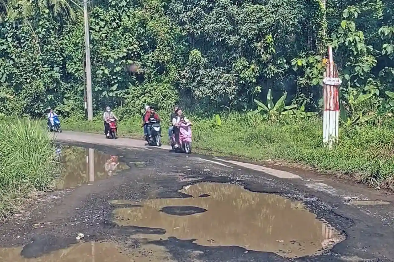 Pencarian Jalan Rusak Lampung Melonjak di Google Trends Perhatian Publik Meningkat Awal Maret - Yopie Pangkey