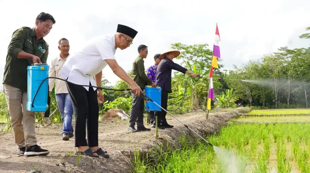 Pupuk Organik Cair POC Lampung Inovasi Gubernur Rahmat Mirzani Djausal RMD Dorong Petani Makmur