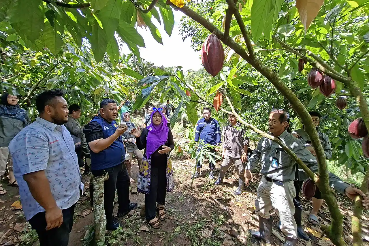FGD Bioekonomi Kehutanan di KPH untuk Ketahanan Pangan dan Energi - Mengapa Model Agroforestri Pesawaran Layak Ditiru - Yopie Pangkey 2
