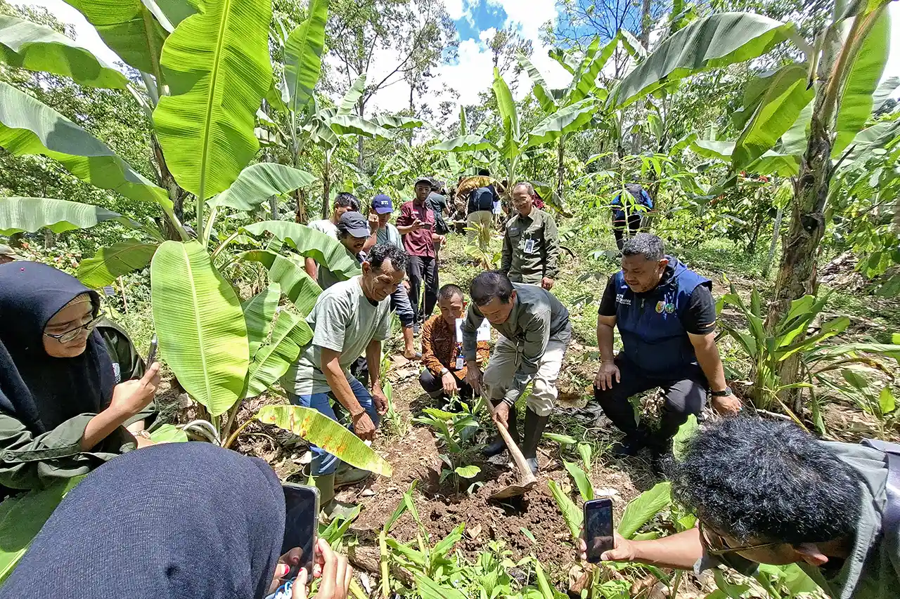 FGD Bioekonomi Kehutanan di KPH untuk Ketahanan Pangan dan Energi - Mengapa Model Agroforestri Pesawaran Layak Ditiru - Yopie Pangkey 3