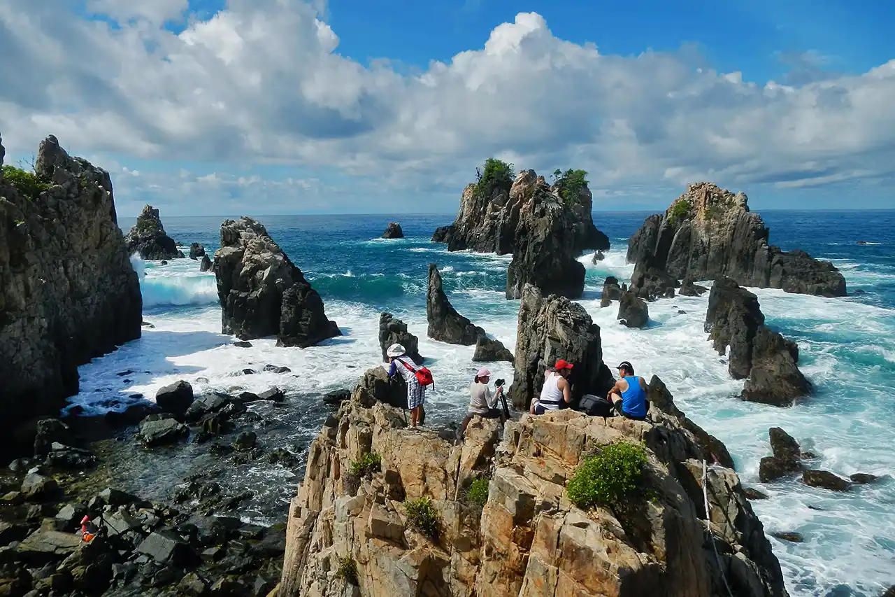 Jalan Dibangun Ekosistem Menyusul Pelajaran Gigi Hiu untuk Pariwisata Lampung - Budhi Marta Utama - 1