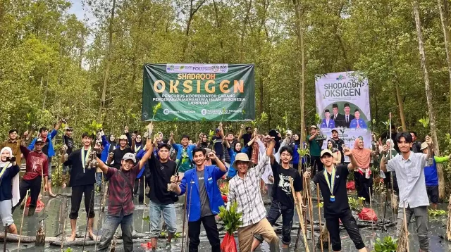 200 Kader PMII Tanam 5000 Mangrove di Pesisir Lampung Selatan Cegah Abrasi