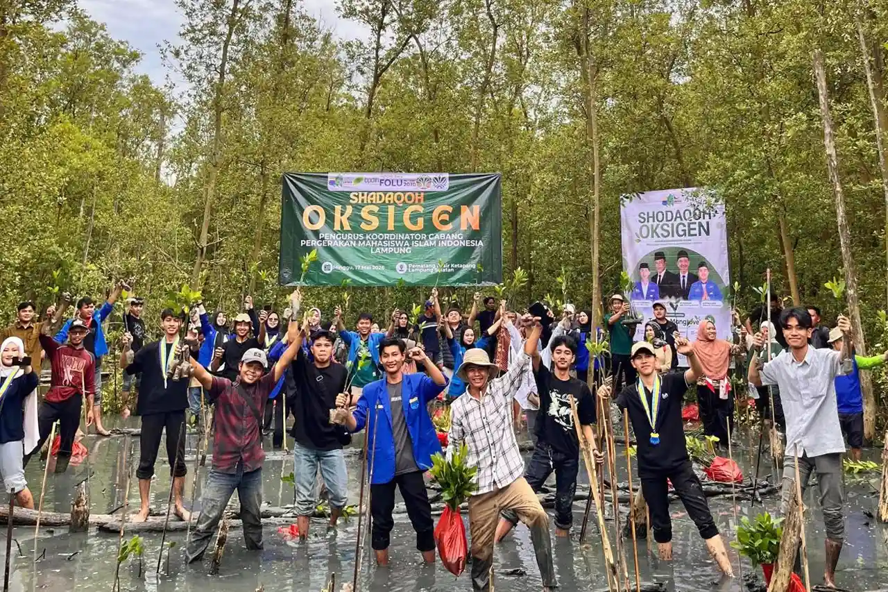 200 Kader PMII Tanam 5000 Mangrove di Pesisir Lampung Selatan Cegah Abrasi