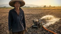 Lampung Bangun 1200 Unit Irigasi Perpompaan untuk Hadapi Ancaman El Nino 2026 Lampung Bangun 1200 Unit Irigasi Perpompaan untuk Hadapi Ancaman El Nino 2026