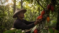Lampung Masuk Peta Besar Multiusaha Kehutanan Nasional