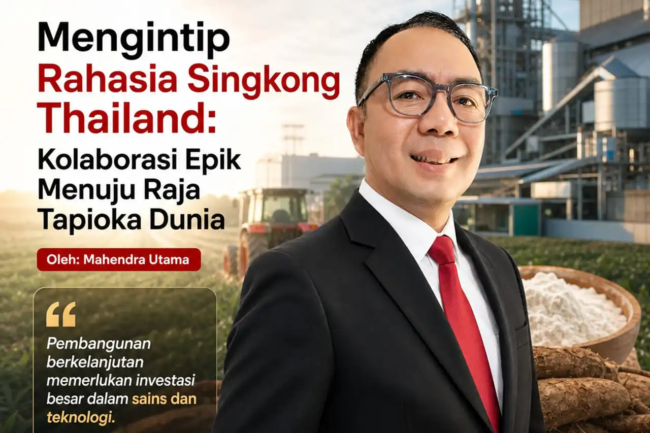 Mengintip Rahasia Singkong Thailand Kolaborasi Epik Menuju Raja Tapioka Dunia - Mahendra Utama@