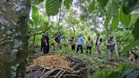OJK dan Kemenhut Matangkan Ekosistem Pembiayaan Karbon Kehutanan di Lampung
