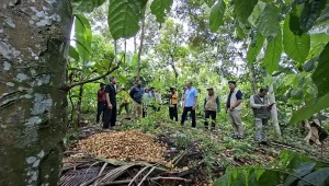 OJK dan Kemenhut Matangkan Ekosistem Pembiayaan Karbon Kehutanan di Lampung