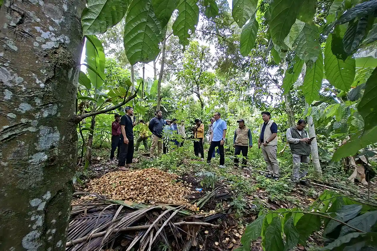 OJK dan Kemenhut Matangkan Ekosistem Pembiayaan Karbon Kehutanan di Lampung