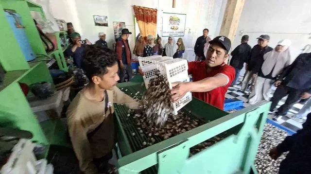 Model Agroforestri Pesawaran Jadi Rujukan Nasional - Setelah Kalteng Kini Giliran Kalsel Belajar - Yopie Pangkey - 3