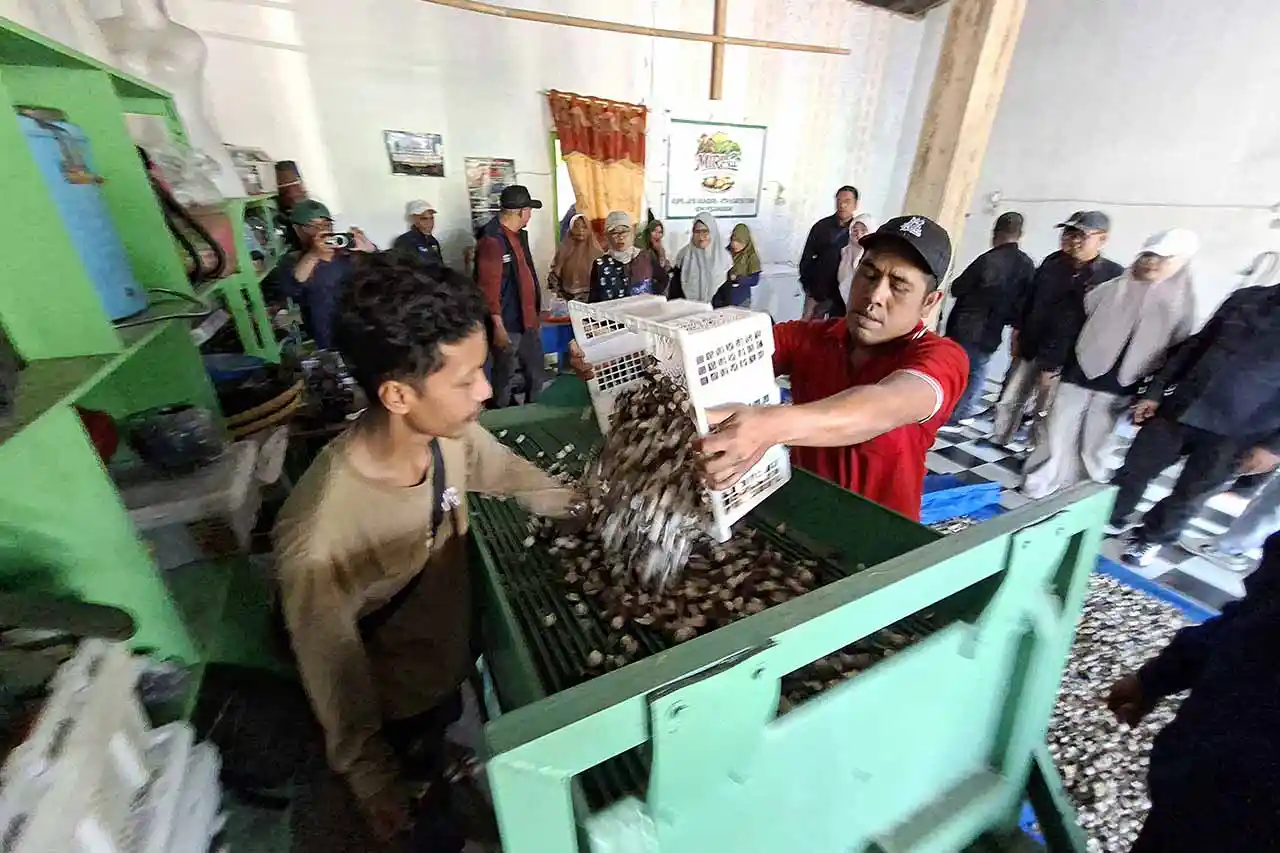 Model Agroforestri Pesawaran Jadi Rujukan Nasional - Setelah Kalteng Kini Giliran Kalsel Belajar - Yopie Pangkey - 3