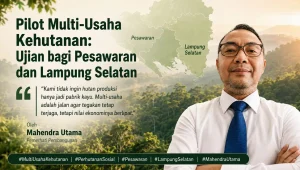 Pilot Multi-Usaha Kehutanan Ujian bagi Pesawaran dan Lampung Selatan - Mahendra Utama